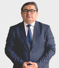 LUIS MIGUEL REYNA ALFARO