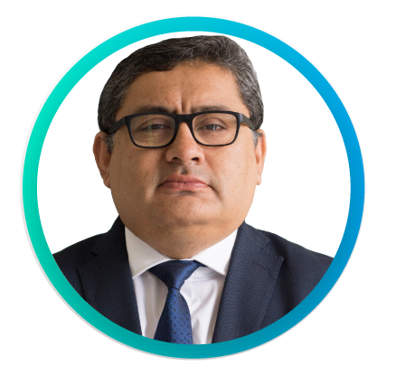 Descripción de la imagen