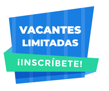 Descripción de la imagen